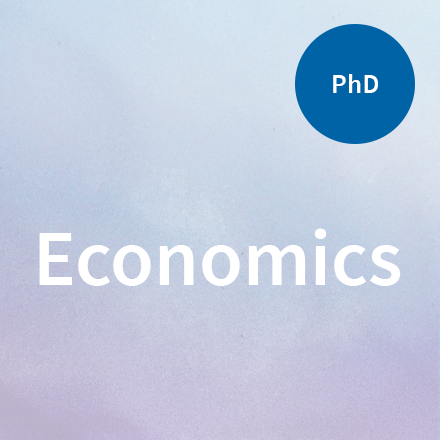 phd economics online usa
